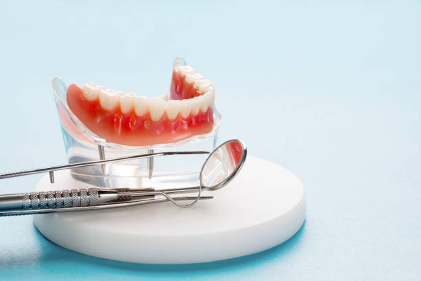 Best Dental Exams and Cleanings  in Brent, FL